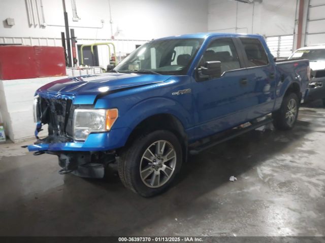 1FTFW1EF1EKE47430 Ford F-150 Stx