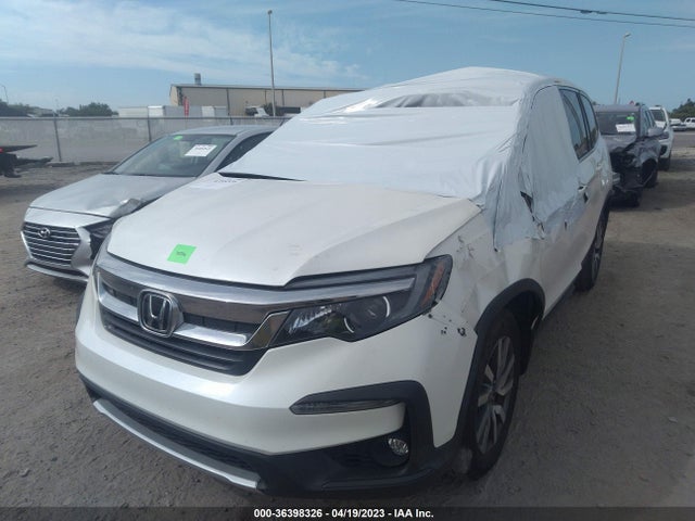 Honda Pilot Ex-l 2019 5FNYF6H52KB025815 Image 12