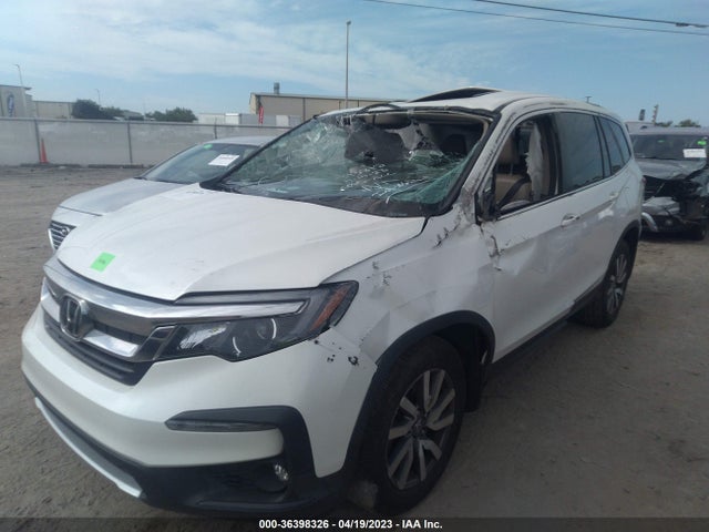 Honda Pilot Ex-l 2019 5FNYF6H52KB025815 Image 6