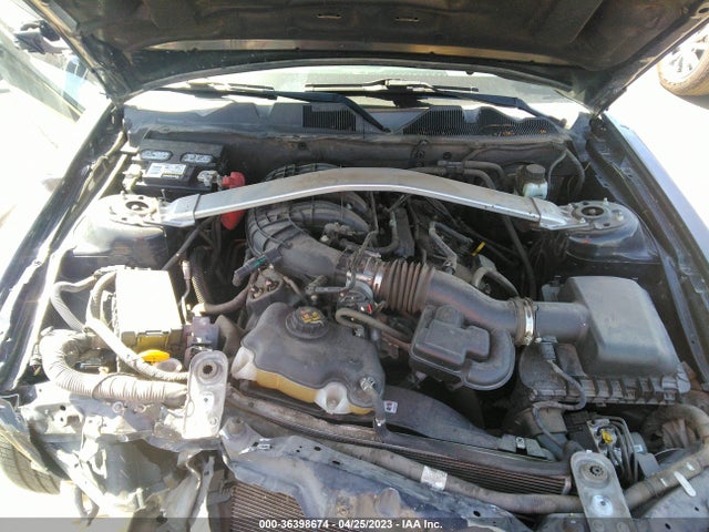 Ford Mustang V6 2014 1ZVBP8EMXE5249749 Image 10
