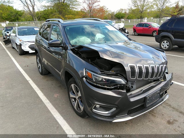 2019 1C4PJMDX1KD230863 main image