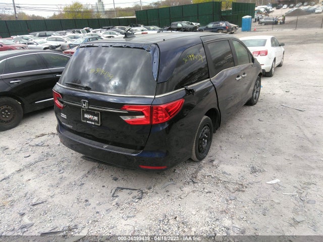 Honda Odyssey Ex-l 2023 5FNRL6H65PB035042 Image 4