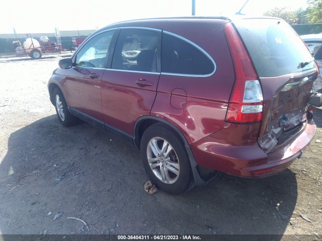 2010 HONDA CR-V EX-L VIN: 5J6RE4H73AL061614