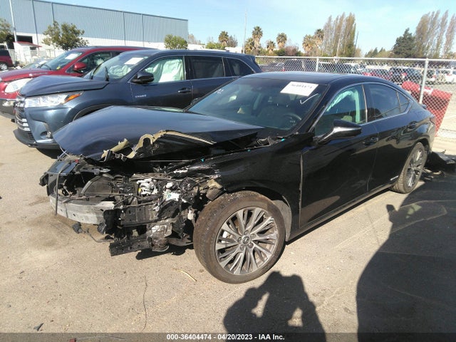58ADA1C15MU010308 Lexus Es Es 300h