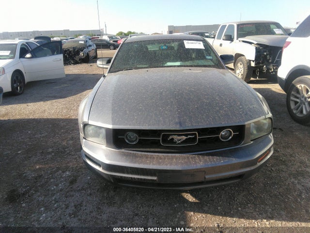 2006 FORD MUSTANG STANDARD/DELUXE/PREMIUM VIN: 1ZVFT80N165208702