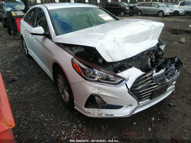 2019 5NPE24AF7KH814923 main image