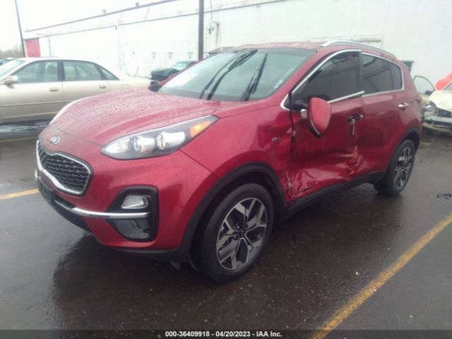 KNDPNCAC6L7817186 KIA Sportage Ex