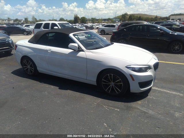 2020 BMW 2 Series, VIN: WBA2K1C08L7G03987