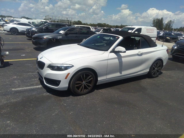 2020 BMW 2 Series, VIN: WBA2K1C08L7G03987