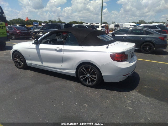 2020 BMW 2 Series, VIN: WBA2K1C08L7G03987