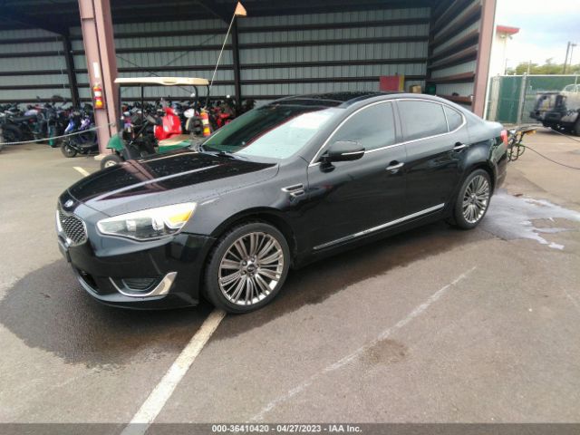 KNALN4D79F5194436 KIA Cadenza Limited