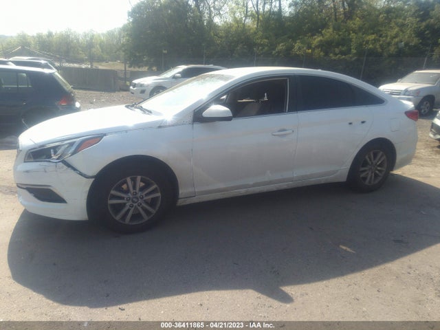 Hyundai Sonata 2017 5NPE24AFXHH568040 Image 2
