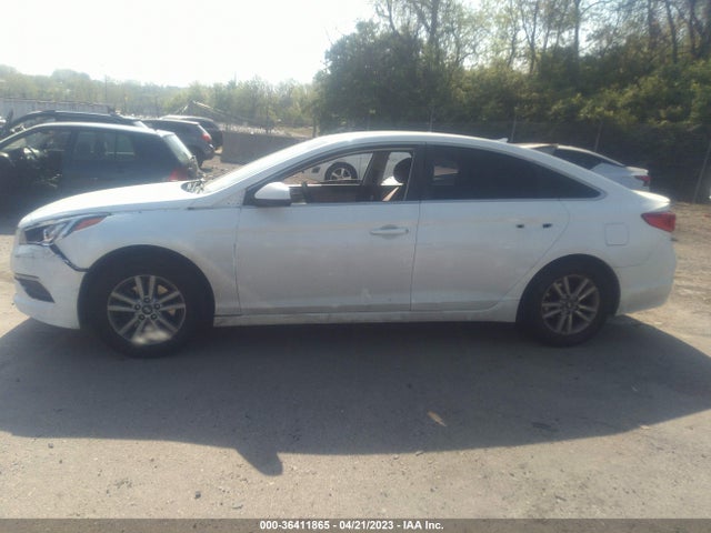 Hyundai Sonata 2017 5NPE24AFXHH568040 Image 6