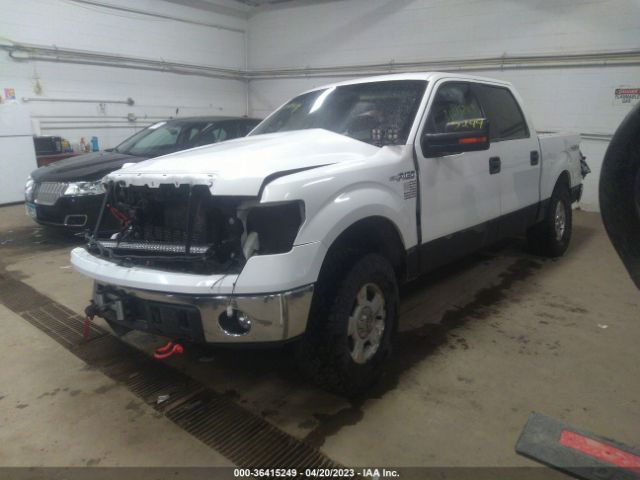 1FTFW1EF2EFC18800 Ford F-150 Xl/xlt/stx/fx4/lariat