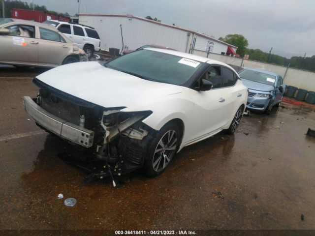 1N4AA6AP3GC392504 Nissan Maxima 3.5 Sv