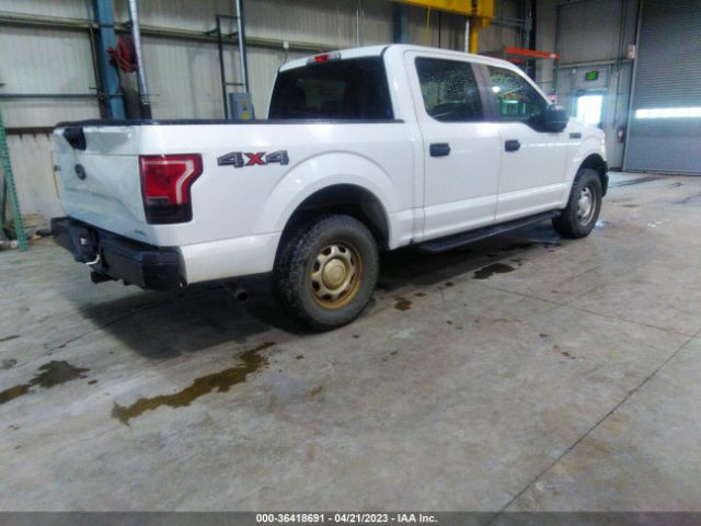 1FTEW1E82FFB35074 Ford F-150 Xlt/xl