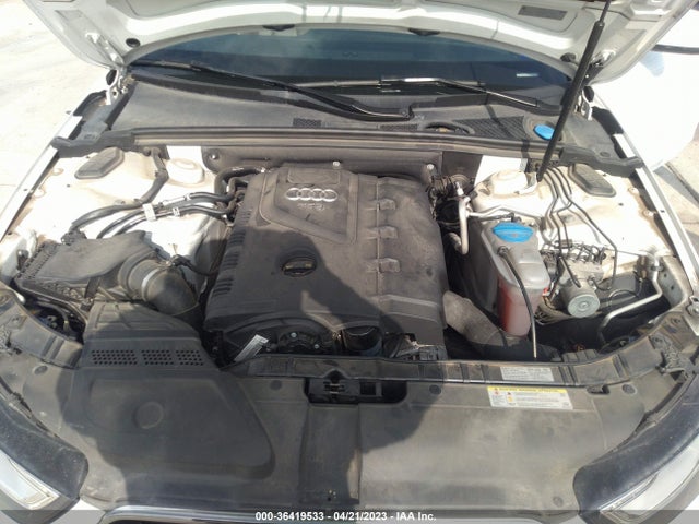WAUFFAFL3EN007659 Audi A4 Premium Plus