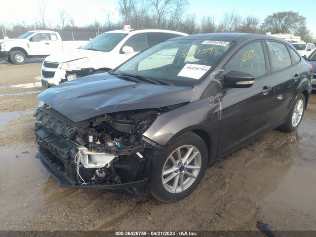 Ford FOCUS SE 2015 1FADP3F2XFL305008 Image 2