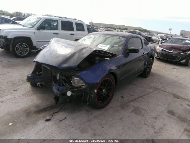 1ZVBP8AM4E5218776 Ford Mustang V6