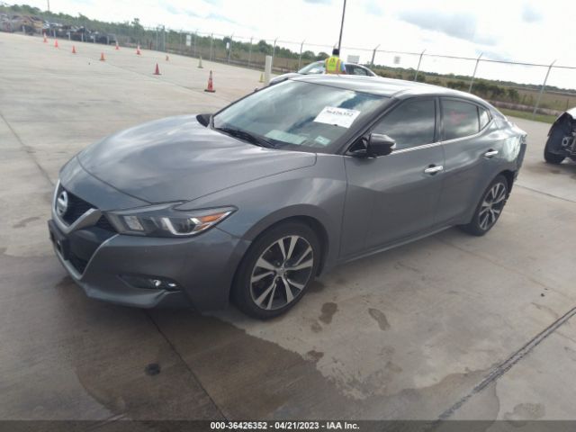 1N4AA6AP4JC393930 Nissan MAXIMA SV