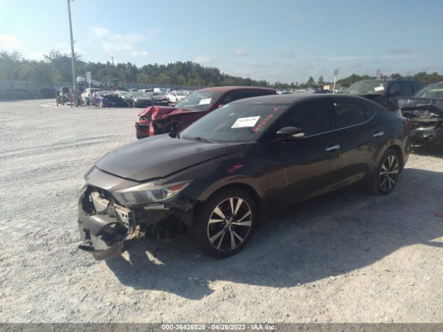 1N4AA6AP0GC382769 Nissan Maxima 3.5 Sv