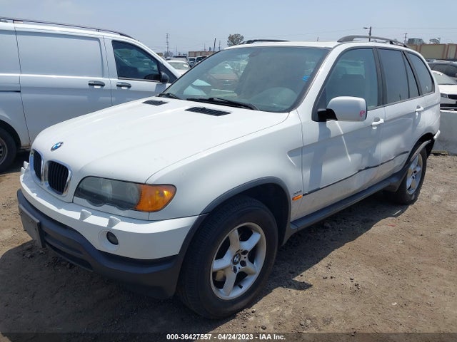 2002 BMW X5 3.0I VIN: 5UXFA53512LP56173