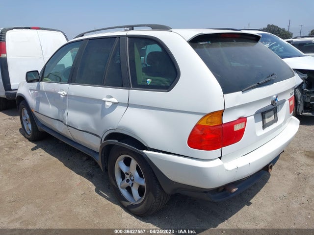 2002 BMW X5 3.0I VIN: 5UXFA53512LP56173