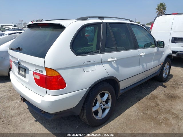 2002 BMW X5 3.0I VIN: 5UXFA53512LP56173