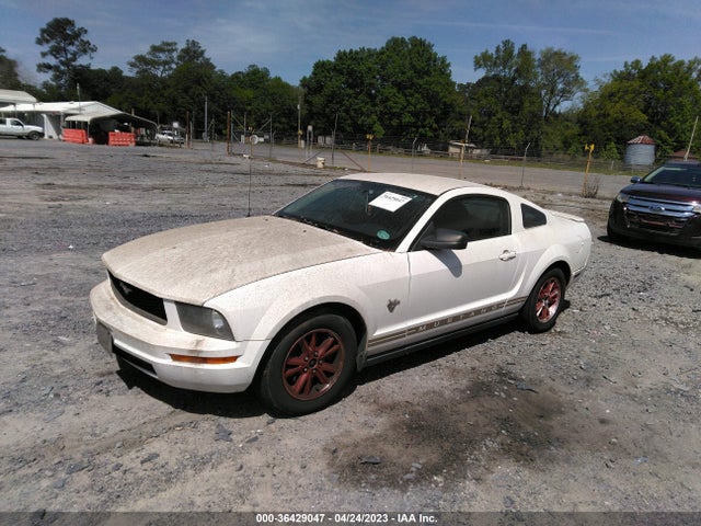 2009 FORD MUSTANG VIN: 1ZVHT80N795112019