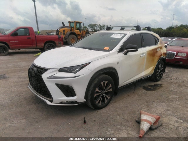 JTJSARDZ4L5016600 Lexus Nx Nx 300 F Sport
