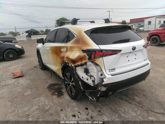 JTJSARDZ4L5016600 Lexus Nx Nx 300 F Sport
