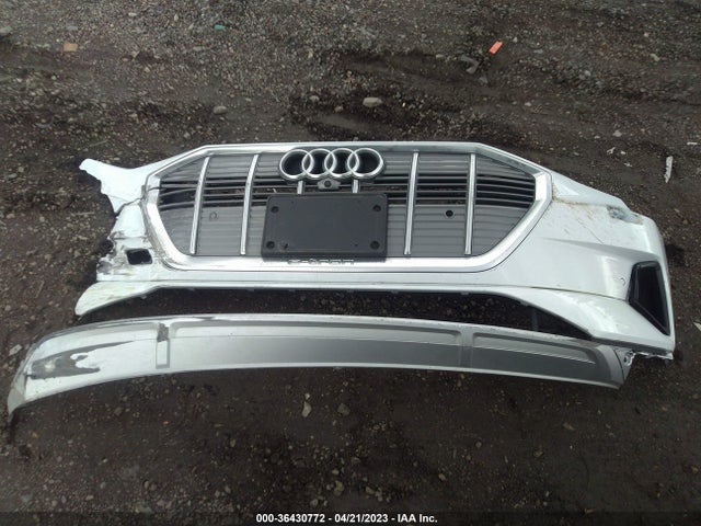 2020 Audi e-tron, VIN: WA12ABGE4LB036117