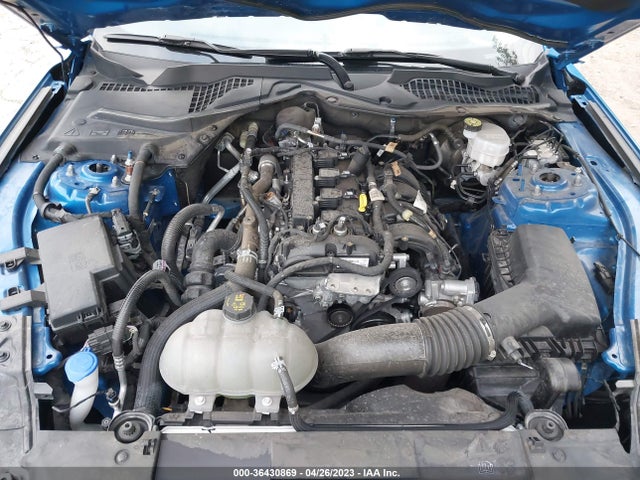 Ford Mustang Ecoboost 2021 1FA6P8TH8M5137966 Image 12