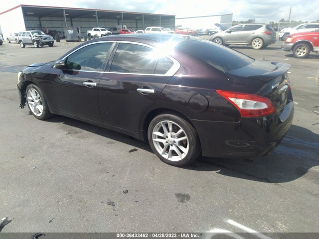 2011 NISSAN MAXIMA 3.5 SV VIN: 1N4AA5AP4BC821393