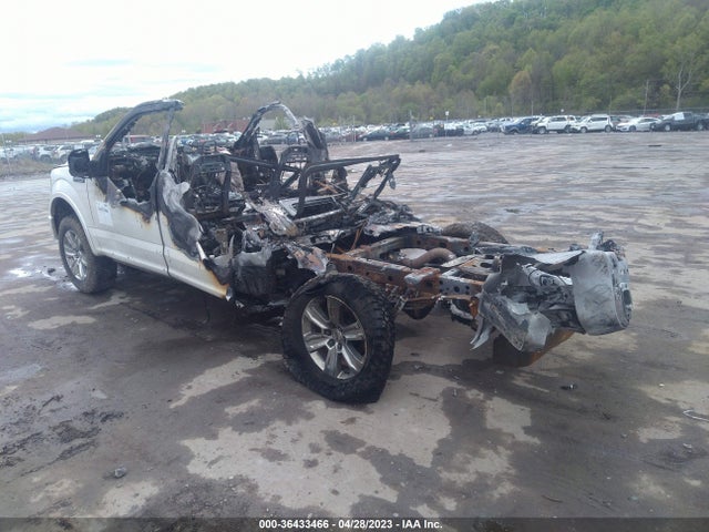 Ford F-150 Platinum 2016 1FTEW1EF4GFA98917 Image 3