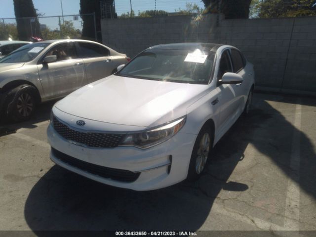 5XXGU4L36GG116585 KIA OPTIMA EX