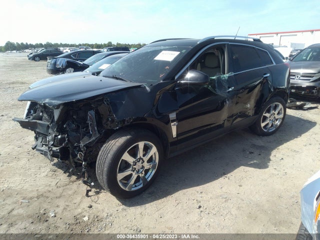 2010 CADILLAC SRX PREMIUM COLLECTION VIN: 3GYFNCEY6AS505606