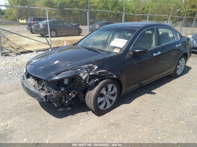 2008 HONDA ACCORD SDN EX-L VIN: 1HGCP36808A015239