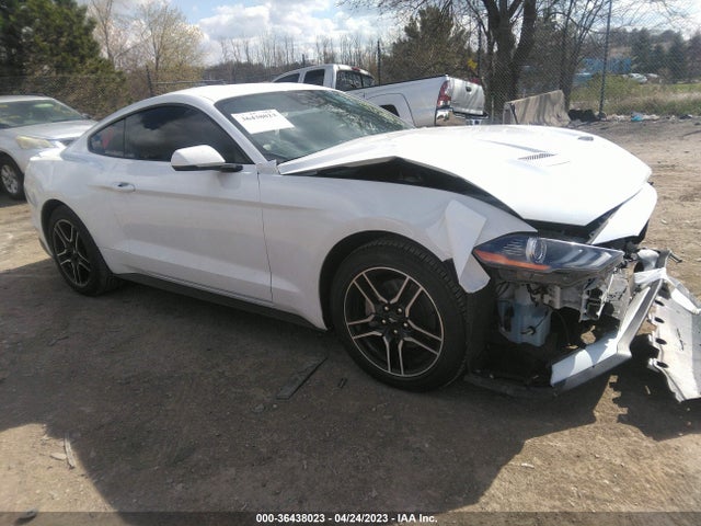 2021 1FA6P8TH5M5127668 main image