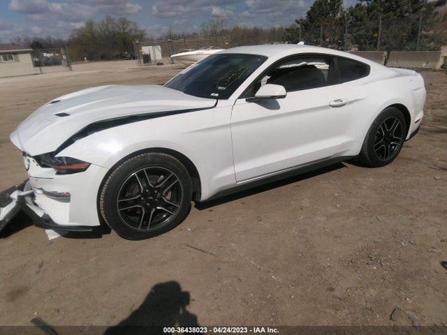 Ford Mustang Ecoboost 2021 1FA6P8TH5M5127668 Image 2
