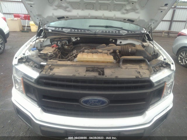 2019 FORD F-150 XL/XLT VIN: 1FTEX1CB8KKD33428