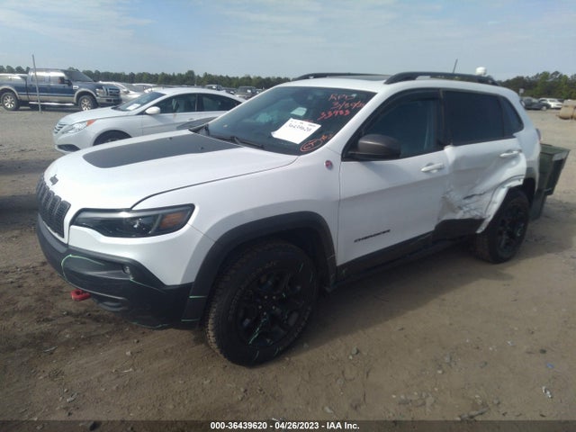 2019 JEEP CHEROKEE TRAILHAWK ELITE VIN: 1C4PJMBNXKD224898