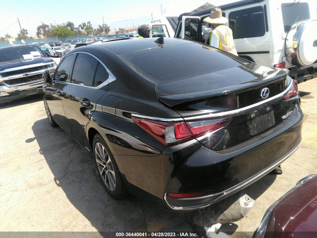 58ACA1C1XNU016148 Lexus Es Es 300h