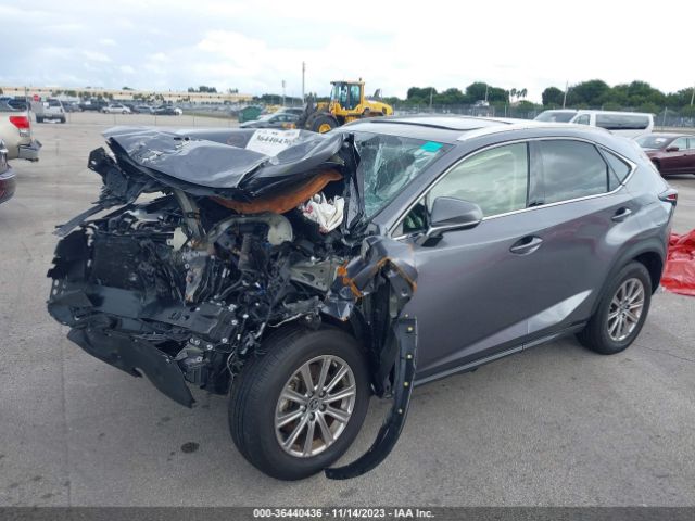 JTJDARBZ6M2195656 Lexus Nx Nx 300