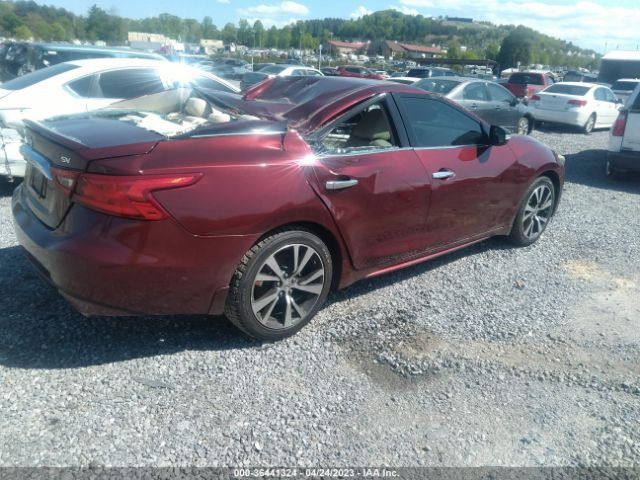 1N4AA6AP0GC410814 Nissan Maxima 3.5 Sv