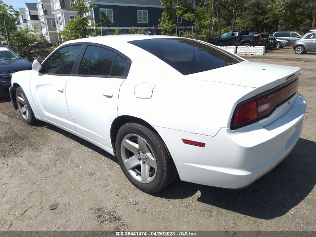 Dodge Charger Police 2014 2C3CDXAG7EH316735 Image 3
