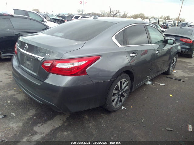 Nissan Altima 2.5 Sv 2017 1N4AL3AP7HC215531 Image 5