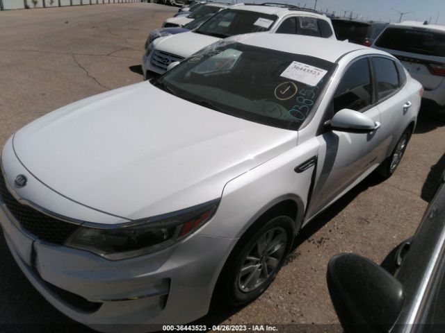 5XXGT4L3XGG038590 KIA Optima Lx