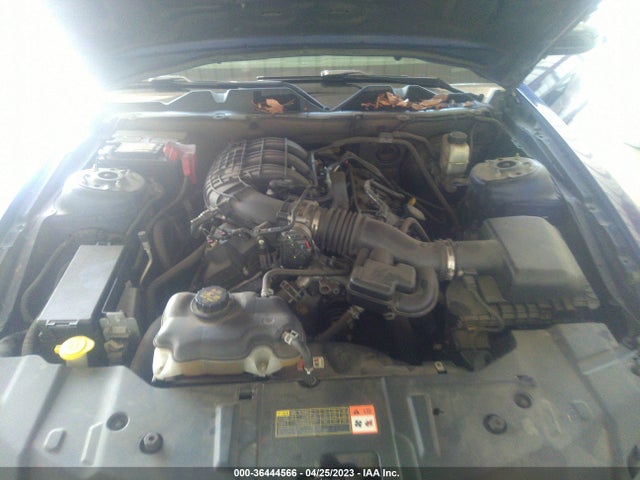 Ford Mustang V6 2014 1ZVBP8AM3E5306461 Image 11