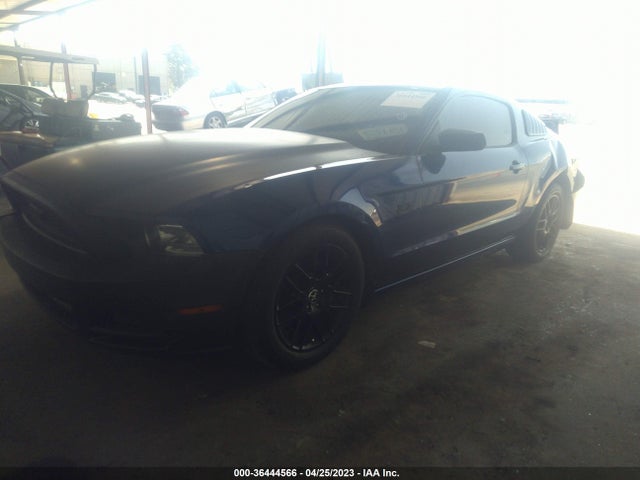 Ford Mustang V6 2014 1ZVBP8AM3E5306461 Image 2